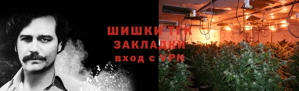 МДПВ Нея