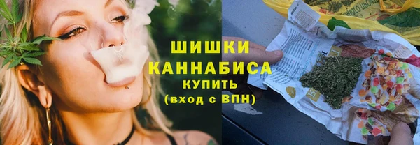 шишки Алексин